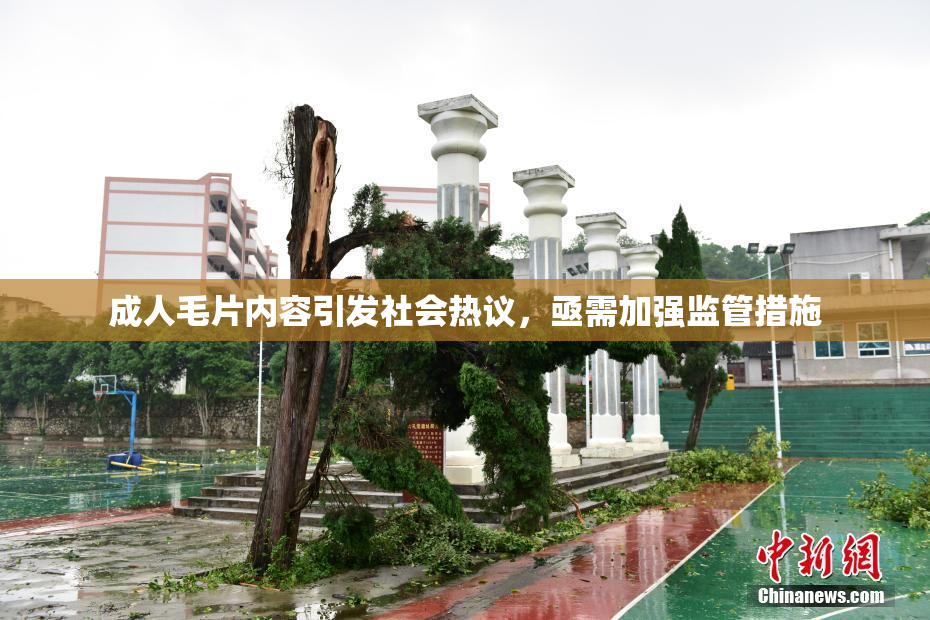 成人毛片内容引发社会热议，亟需加强监管措施