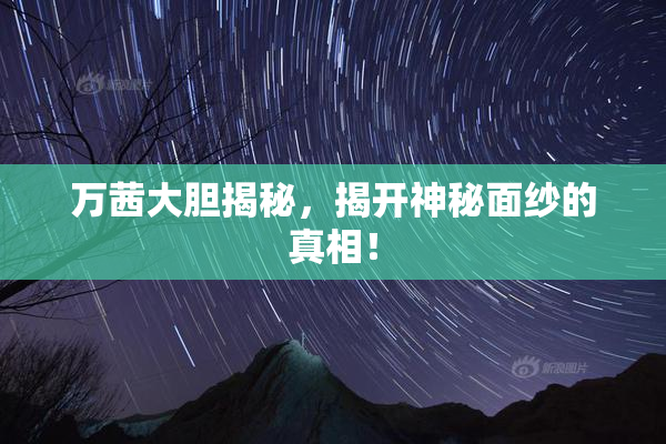 万茜大胆揭秘，揭开神秘面纱的真相！