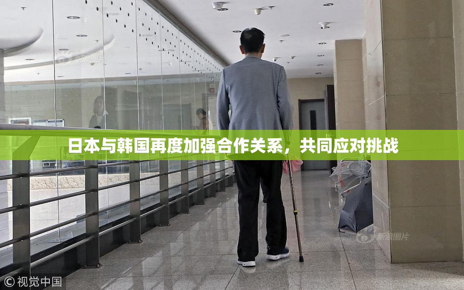 日本与韩国再度加强合作关系，共同应对挑战