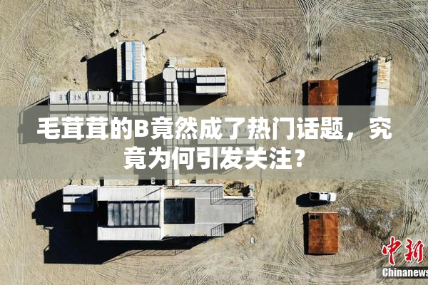 毛茸茸的B竟然成了热门话题，究竟为何引发关注？
