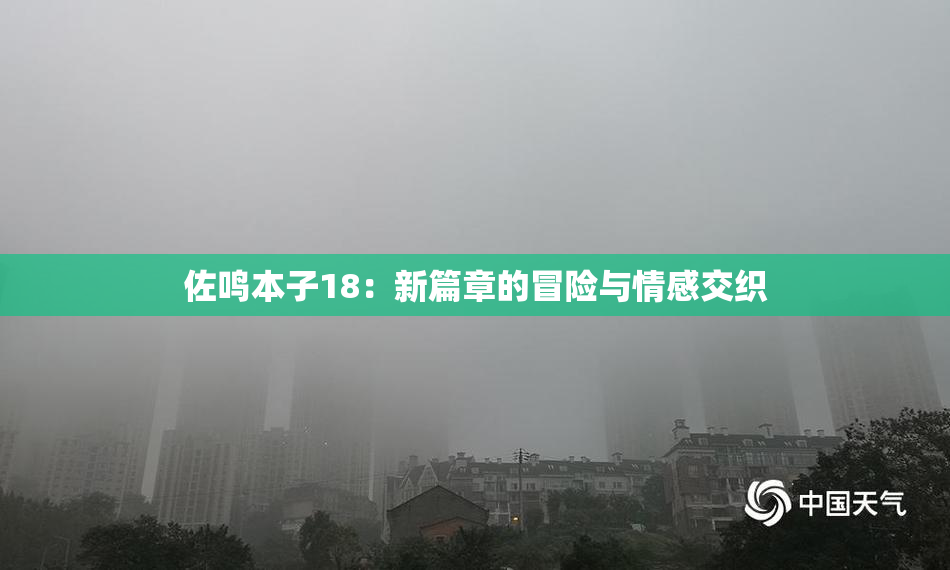 佐鸣本子18：新篇章的冒险与情感交织