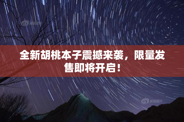 全新胡桃本子震撼来袭，限量发售即将开启！