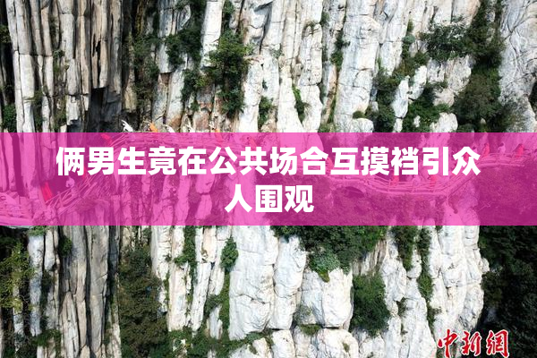 俩男生竟在公共场合互摸裆引众人围观