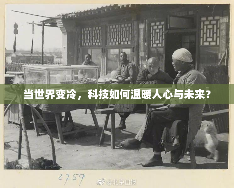 当世界变冷，科技如何温暖人心与未来？