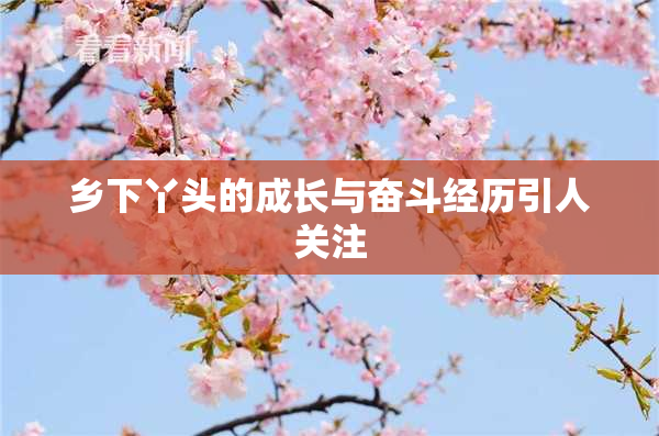 乡下丫头的成长与奋斗经历引人关注
