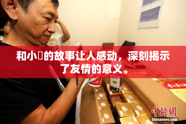 和小娻的故事让人感动，深刻揭示了友情的意义。