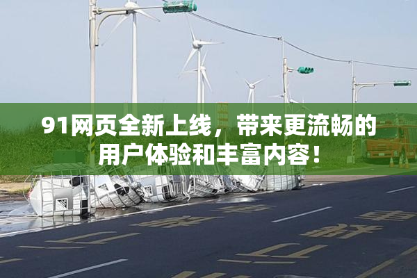 91网页全新上线，带来更流畅的用户体验和丰富内容！