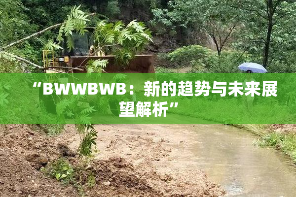 “BWWBWB：新的趋势与未来展望解析”