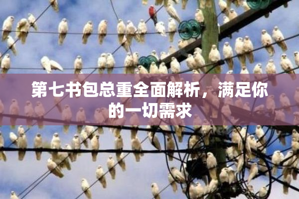 第七书包总重全面解析，满足你的一切需求