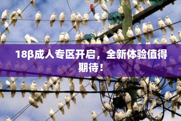 18β成人专区开启，全新体验值得期待！