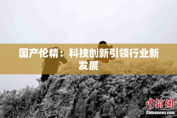 国产伦精：科技创新引领行业新发展
