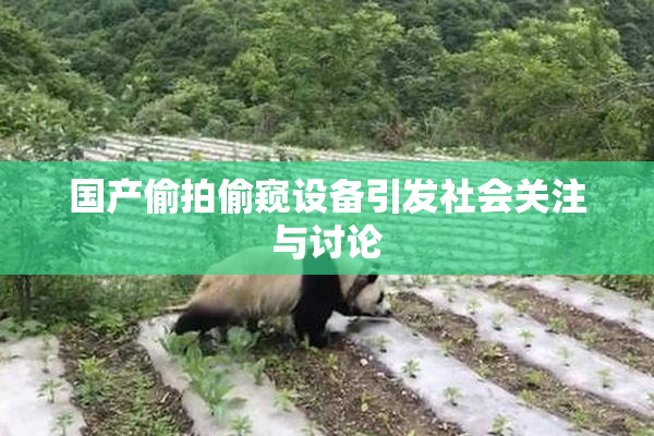 国产偷拍偷窥设备引发社会关注与讨论