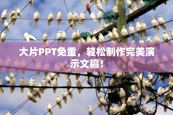 大片PPT免重，轻松制作完美演示文稿！
