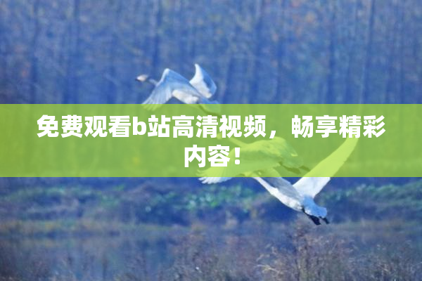 免费观看b站高清视频，畅享精彩内容！