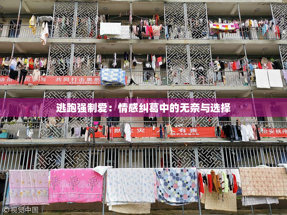 逃跑强制爱：情感纠葛中的无奈与选择