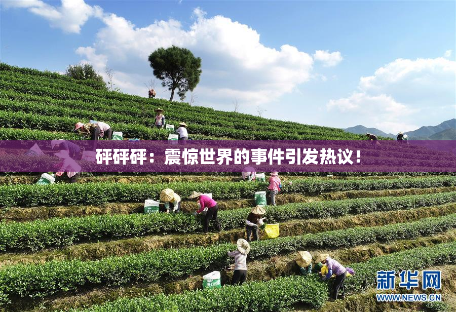 砰砰砰：震惊世界的事件引发热议！