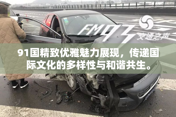 91国精致优雅魅力展现，传递国际文化的多样性与和谐共生。