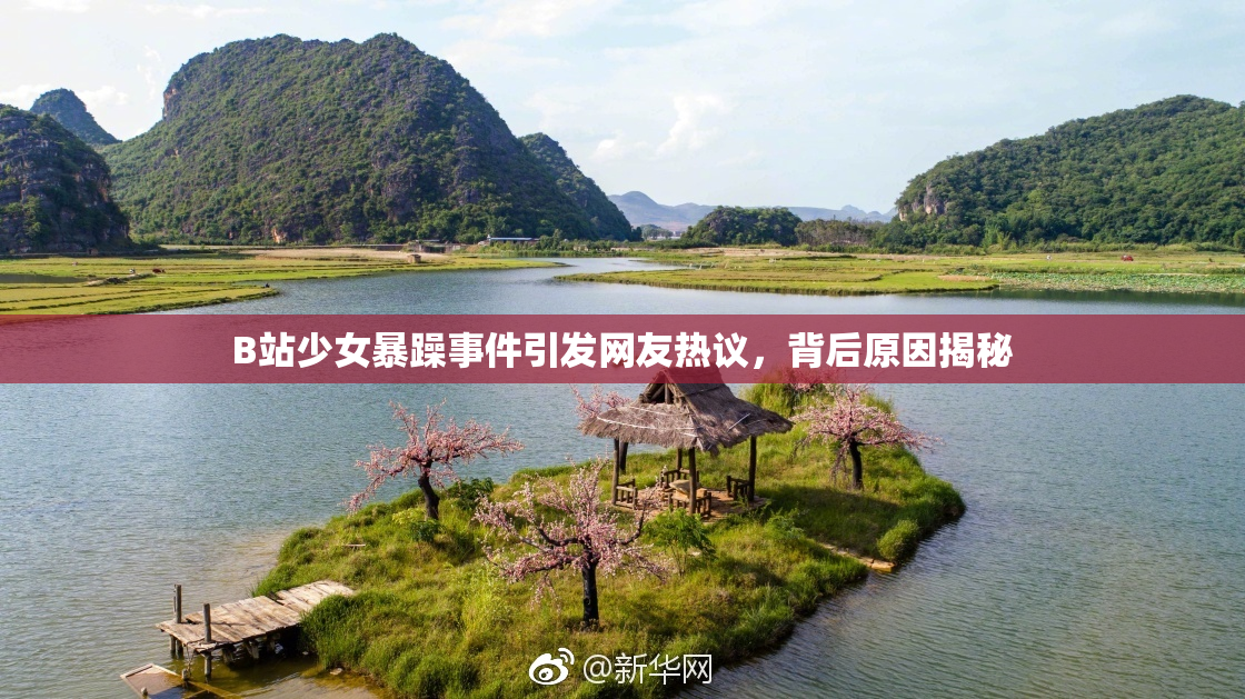 B站少女暴躁事件引发网友热议，背后原因揭秘