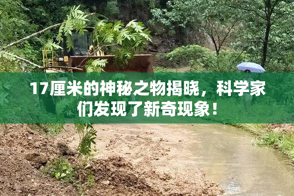 17厘米的神秘之物揭晓，科学家们发现了新奇现象！