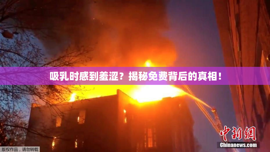 吸乳时感到羞涩？揭秘免费背后的真相！
