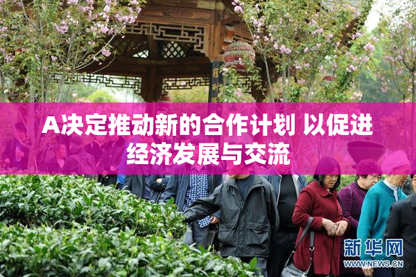 A决定推动新的合作计划 以促进经济发展与交流