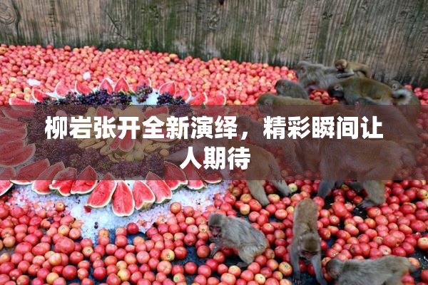 柳岩张开全新演绎，精彩瞬间让人期待