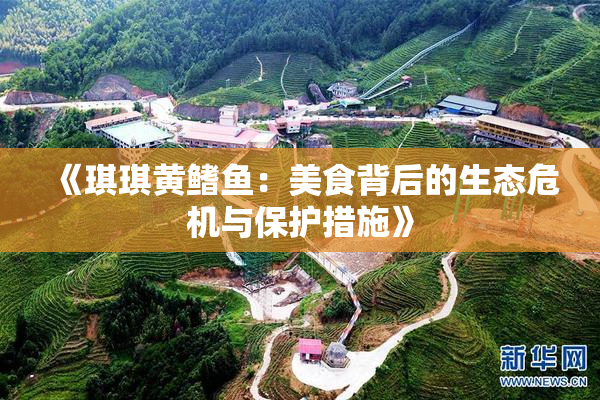 《琪琪黄鳍鱼：美食背后的生态危机与保护措施》