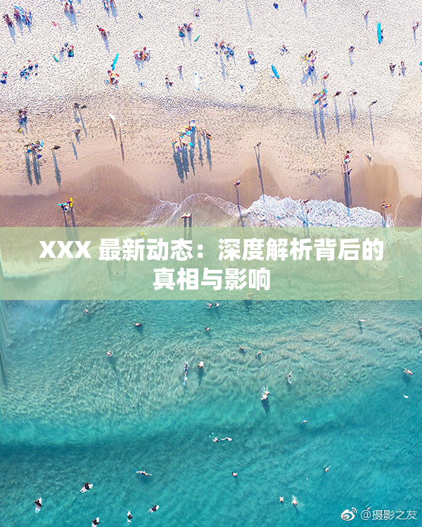 XXX 最新动态：深度解析背后的真相与影响