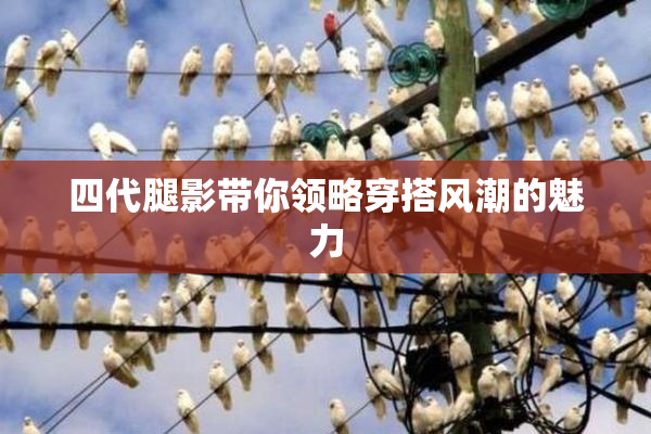 四代腿影带你领略穿搭风潮的魅力