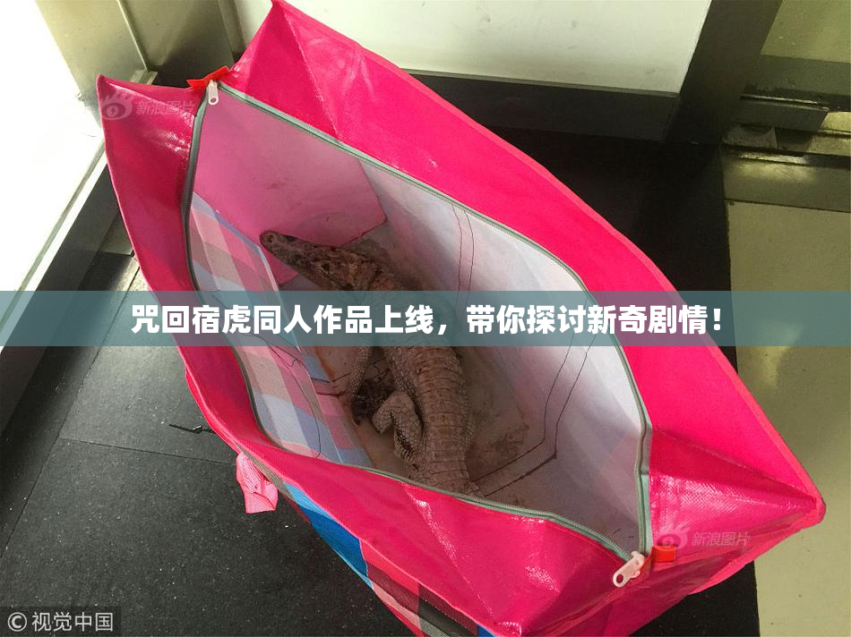 咒回宿虎同人作品上线，带你探讨新奇剧情！