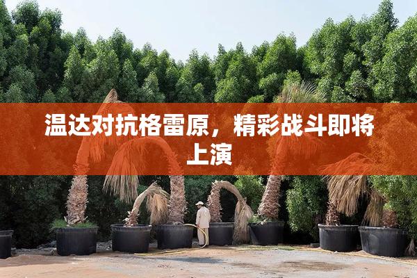 温达对抗格雷原，精彩战斗即将上演
