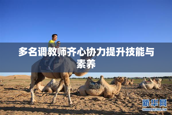 多名调教师齐心协力提升技能与素养