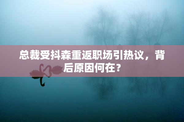 总裁受抖森重返职场引热议，背后原因何在？