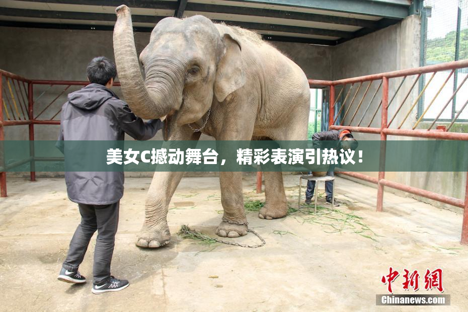 美女C撼动舞台，精彩表演引热议！