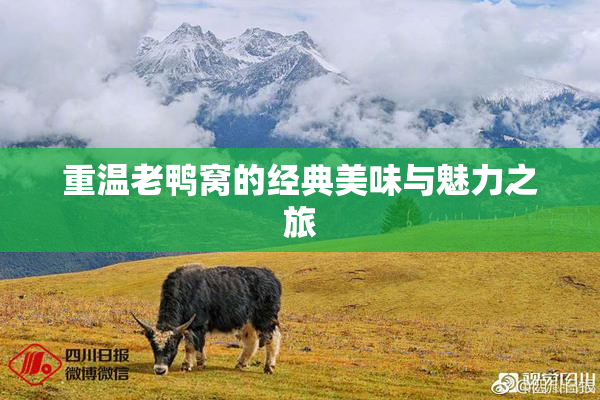 重温老鸭窝的经典美味与魅力之旅