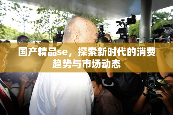 国产精品se，探索新时代的消费趋势与市场动态
