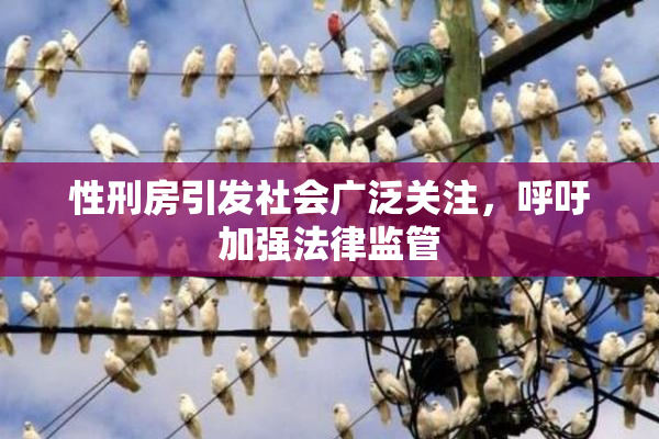 性刑房引发社会广泛关注，呼吁加强法律监管