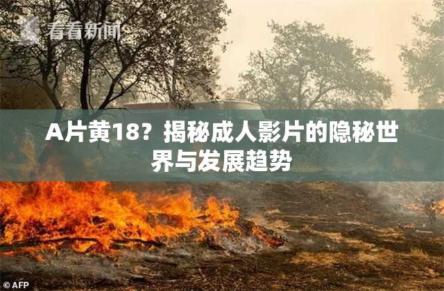 A片黄18？揭秘成人影片的隐秘世界与发展趋势