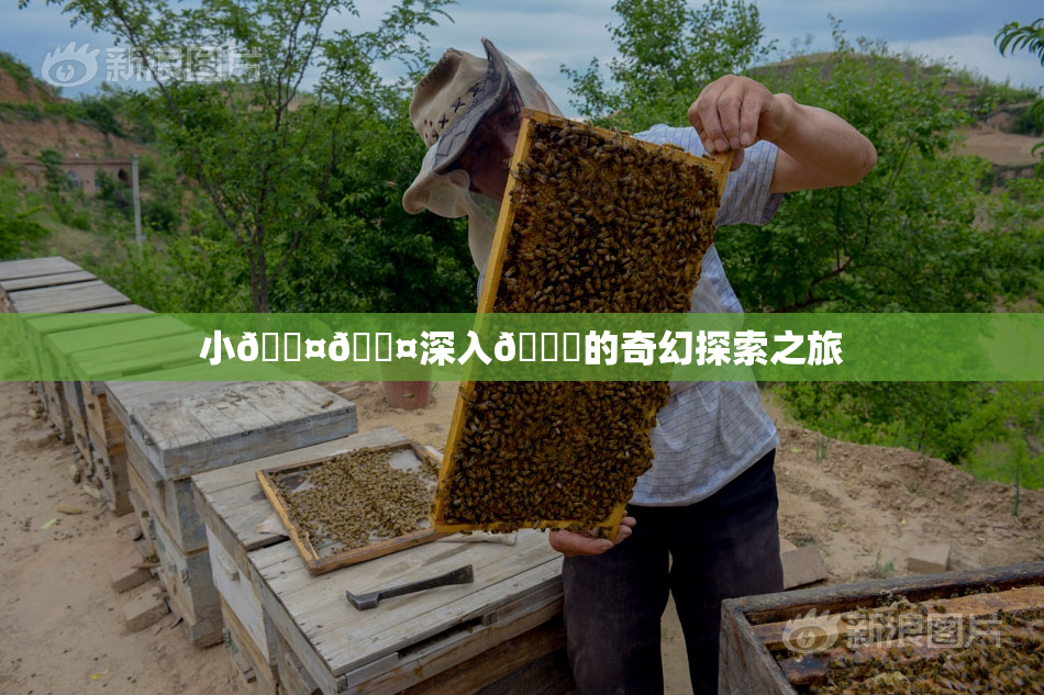 小🐤🐤深入🍑的奇幻探索之旅