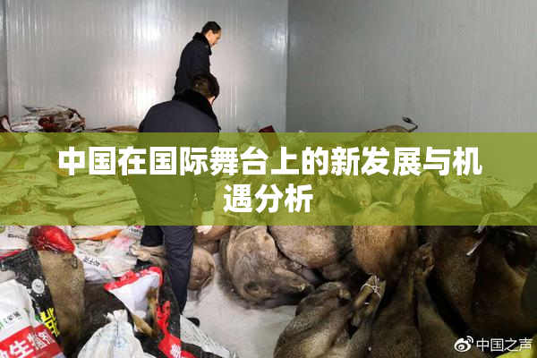 中国在国际舞台上的新发展与机遇分析