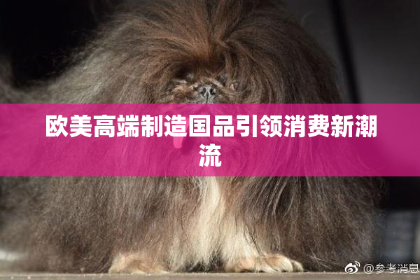 欧美高端制造国品引领消费新潮流
