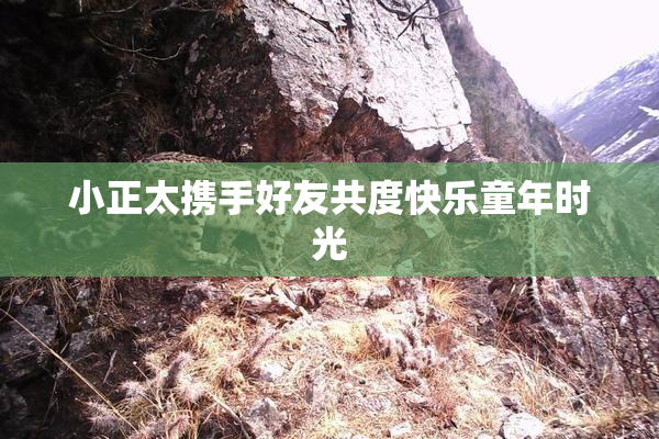 小正太携手好友共度快乐童年时光