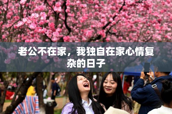 老公不在家，我独自在家心情复杂的日子