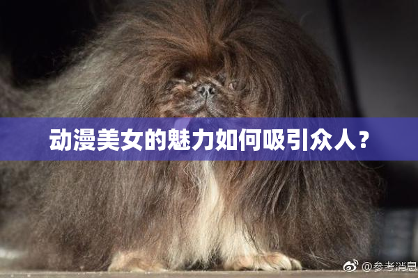 动漫美女的魅力如何吸引众人？