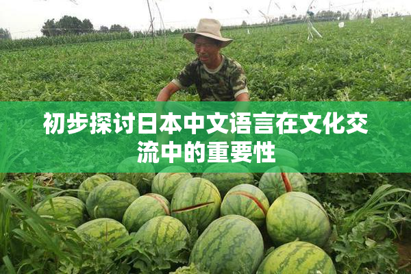 初步探讨日本中文语言在文化交流中的重要性