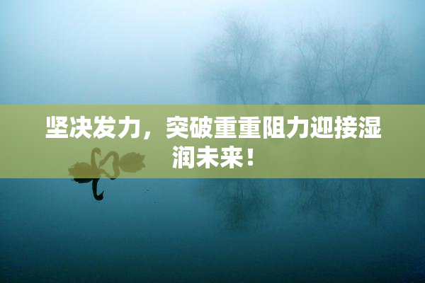 坚决发力，突破重重阻力迎接湿润未来！