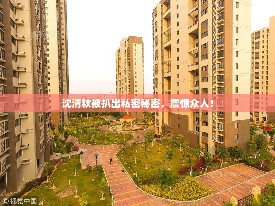 沈清秋被扒出私密秘密，震惊众人！