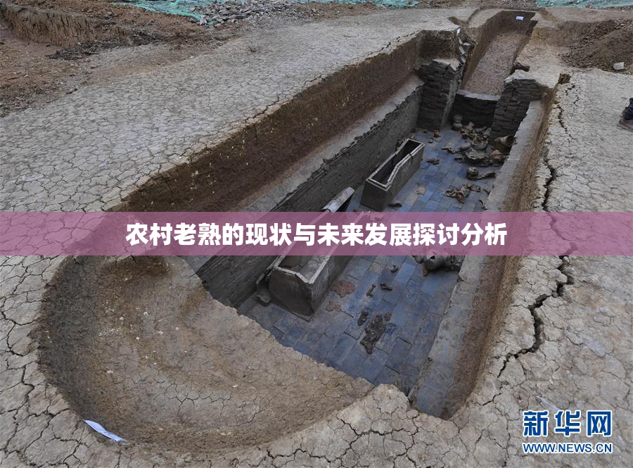 农村老熟的现状与未来发展探讨分析