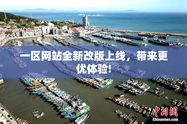 一区网站全新改版上线，带来更优体验!