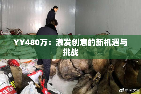 YY480万：激发创意的新机遇与挑战